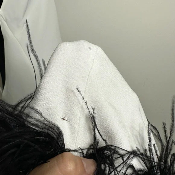 PatBo Halterneck Feather Trim Gown - Picture 11 of 13